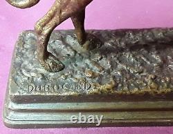 Alfred Dubucand 1828 / 94 Petit Levrier En Bronze Patine