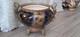 Ancien Cache Pot Napoleon Iii Choisy Le Roi Monture Bronze