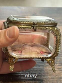 Ancienne boîte à bijoux en verre biseauté et bronze Style Napoléon III