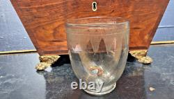 Boite A The Victorienne Bronze Mahogany Victorian Casket Box Tea Caddy