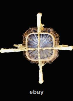 Coupe vide-poche Centre de table en bronze doré verre gravé Napoléon III 19ème