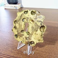 Entrée de serrure ancienne en bronze doré Décor floral et vigne, Napoleon III