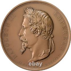 France, Médaille, Napoléon III, Voyage de Napoléon dans les Départements du