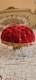 French Antique Napoleon Iii Mariage Globe Interior Padded Velvet Cushion Stand