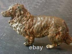 Grand Bronze de Vienne Chien de Berger 12cm x 8cm XIXè VIENNA BRONZE DOG