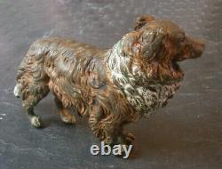 Grand Bronze de Vienne Chien de Berger 12cm x 8cm XIXè VIENNA BRONZE DOG