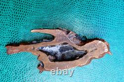 Oiseau endormi, ancien Bronze de Vienne certainement fin 19 debut 20em