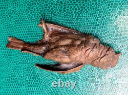 Oiseau endormi, ancien Bronze de Vienne certainement fin 19 debut 20em