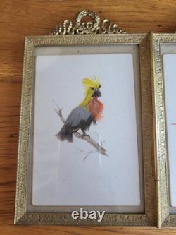 Oiseaux en Aquarelle et Plumes dans Cadre en Bronze Napoléon III à Poser XIXème