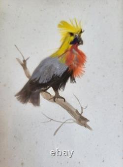 Oiseaux en Aquarelle et Plumes dans Cadre en Bronze Napoléon III à Poser XIXème