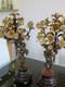 Paire De Cand&eacute;labre En Bronze A Fleurs Dorees Napoleon Iii