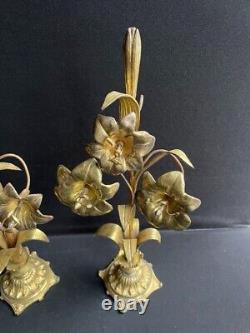 Paire d'éléments décoratifs signés Fleurs de Lys Laiton et bronze XIXème