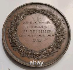 Rare médaille XIXe DEPARTEMENT DE LA CORSE signée Dantzell 1854 Napoléon III